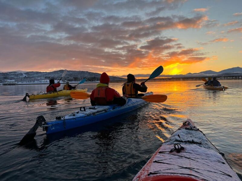 Tromsø: Winter Sea Kayaking Tour With Wildlife Sightings - Weather Conditions and Rescheduling