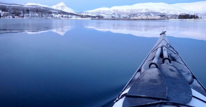 Tromsø: Winter Sea Kayaking Tour With Wildlife Sightings - Tour Ratings and Customer Feedback
