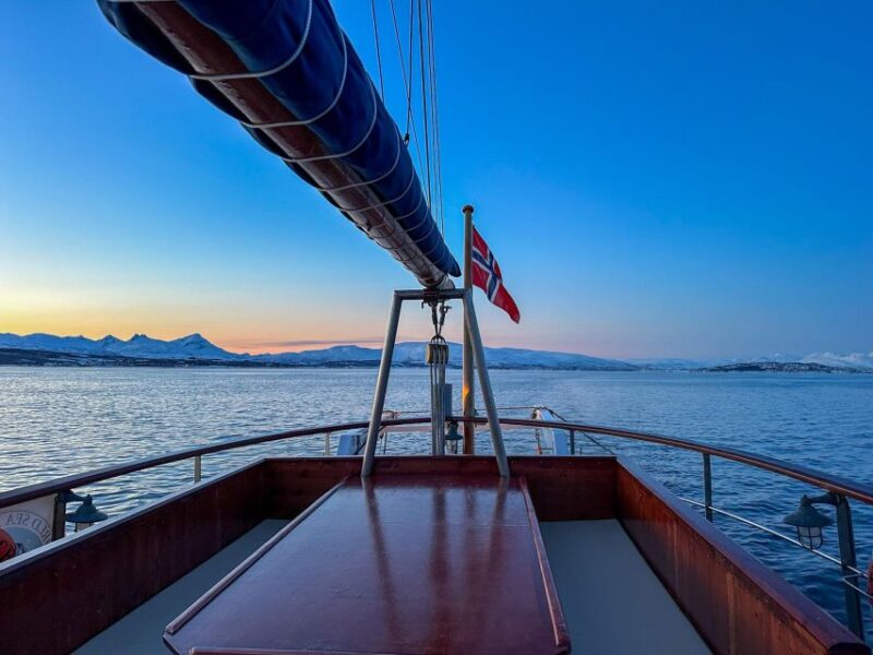Tromsø:Arctic Fishing & Seafood Fjord Cruise on Luxury Yacht - Luxury Yacht Experience