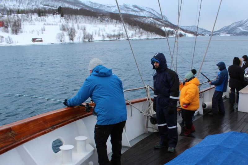 Tromsø:Arctic Fishing & Seafood Fjord Cruise on Luxury Yacht - Arctic Landscapes and Wildlife