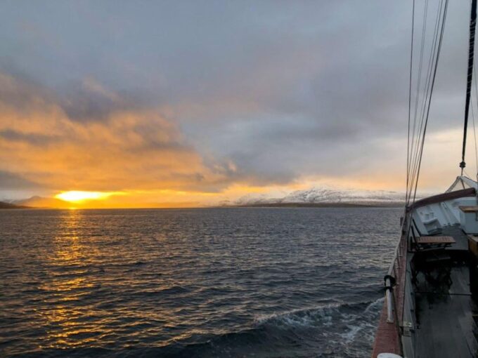 Tromsø:Arctic Fishing & Seafood Fjord Cruise on Luxury Yacht - Recap