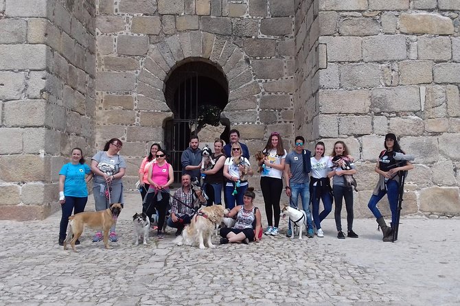 TRON of THRONES GUIDED Visit! We Are Not Encyclopedias With Legs! - Maximum Group Size and Cancellation Policy