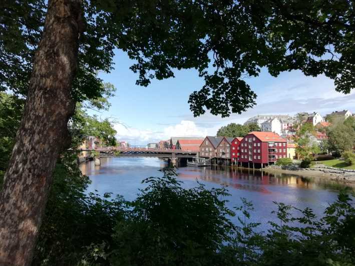 Trondheim : Explore the City of Kings With a Local Guide - Key Points