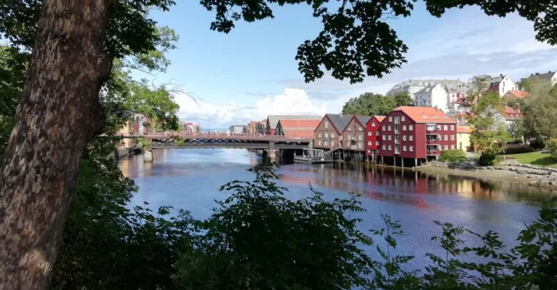 Trondheim : Explore the City of Kings With a Local Guide - Exploring Bakklandets Colorful Charm