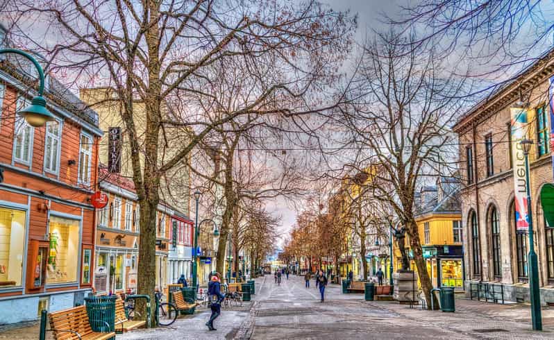 Trondheim Private Guided Walking Tour - Trondheim: Norways Third-Largest City