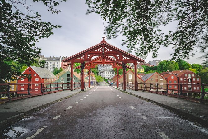 Trondheim Private Walking Tour - Accessibility and Participation