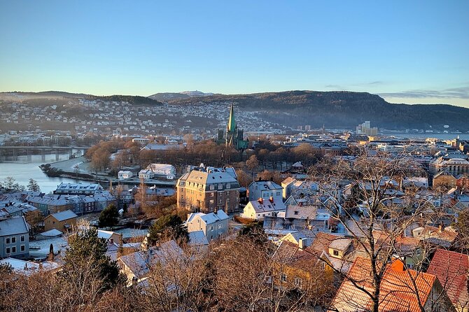 Trondheim Private Walking Tour - Confirmation and Booking