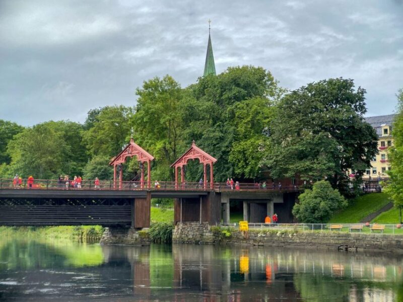 Trondheim Pur - Explore the Highlights by Bus & Walk - Itinerary Highlights