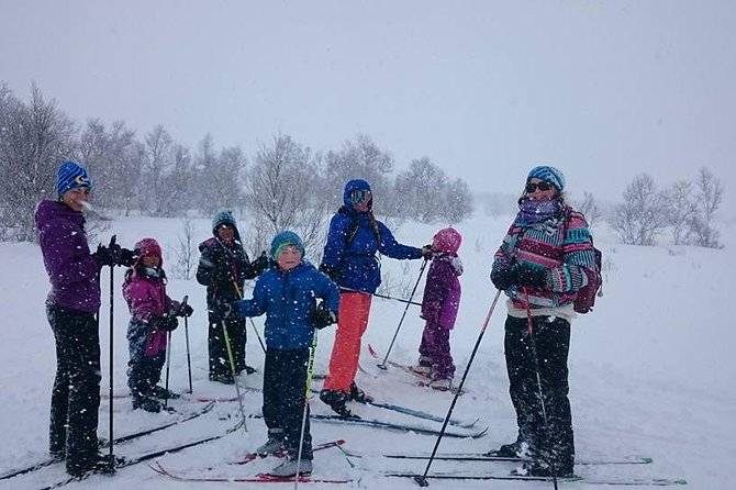 Trondheim Small-Group Cross-Country Skiing Adventure - Key Points