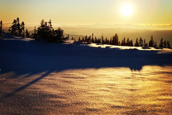Trondheim Small-Group Cross-Country Skiing Adventure - Taking in Norwegian Cultural Customs