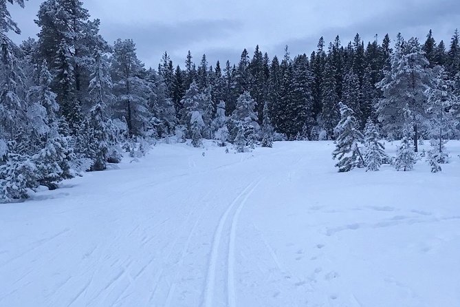 Trondheim Small-Group Cross-Country Skiing Adventure - Flexible Cancellation and Refund Policy
