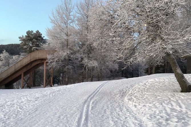 Trondheim Small-Group Cross-Country Skiing Adventure - Positive Customer Feedback and Ratings
