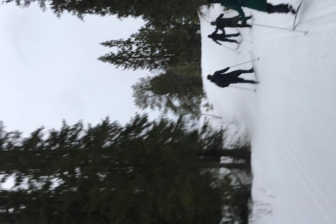Trondheim Small-Group Cross-Country Skiing Adventure - Additional Trondheim Sightseeing Experiences