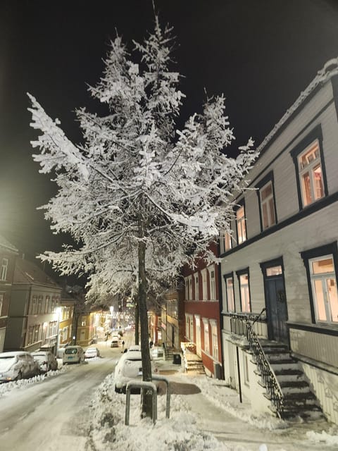 Trondheim(Cityguide Tour) - Key Points