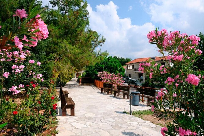Troodos Jeep Safari From Protaras,Ayia Napa & Larnaca - Key Points