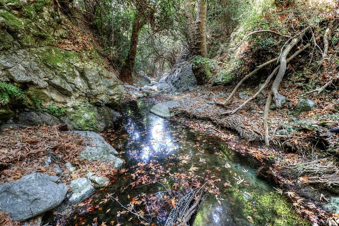 Troodos Jeep Safari From Protaras,Ayia Napa & Larnaca - Private Tour