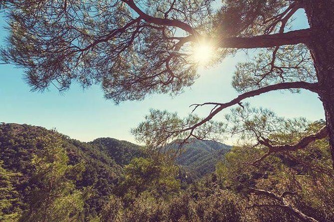 Troodos Jeep Safari From Protaras,Ayia Napa & Larnaca - Tour Details