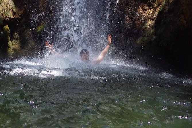 Troodos Walking Trip (Artemis +/Myllomeris Waterfalls) - Private From Nicosia - Key Points