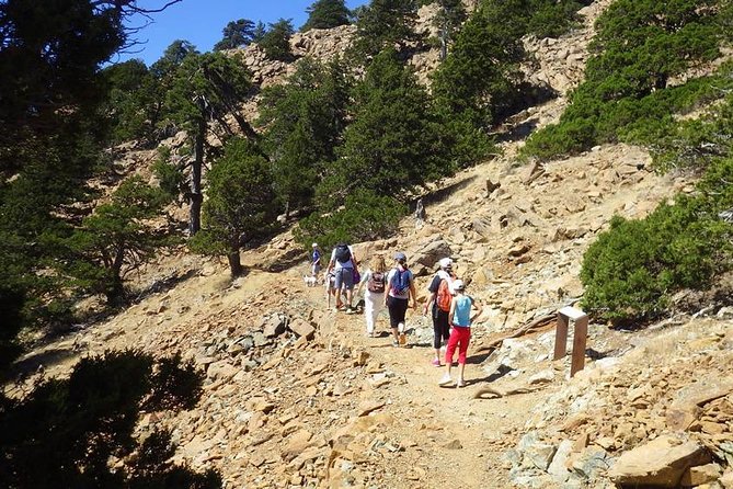 Troodos Walking Trip (Artemis +/Myllomeris Waterfalls) - Private From Nicosia - Myllomeris Waterfalls