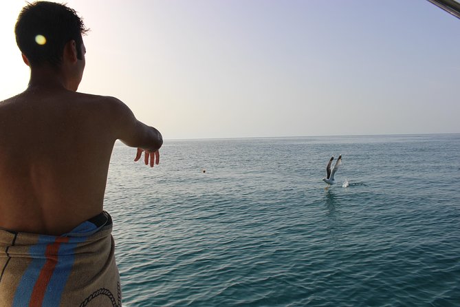 Tropea - Briatico - Zambrone - Adventures in Zambrones Seascape