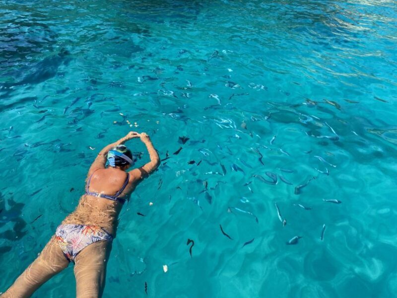 Tropea: Capo Vaticano Boat Trip With Snorkeling & Drink - Since Your Asked