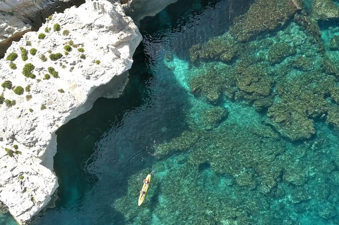 Tropea - Capo Vaticano Exclusive Boat Tour - Meeting and End Point