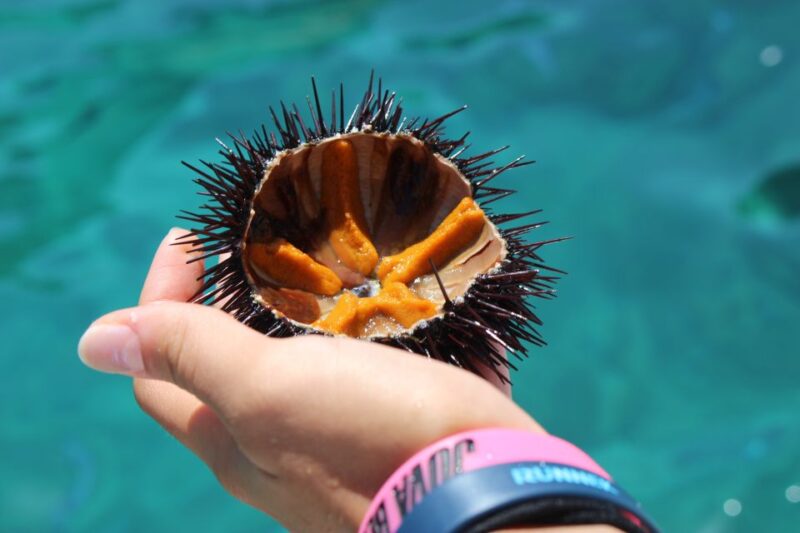 Tropea: Private Boat Rental With Skipper and Snacks - Experience Highlights