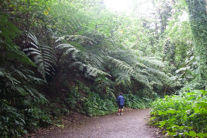 Tropical Adventure Package - Participant Information