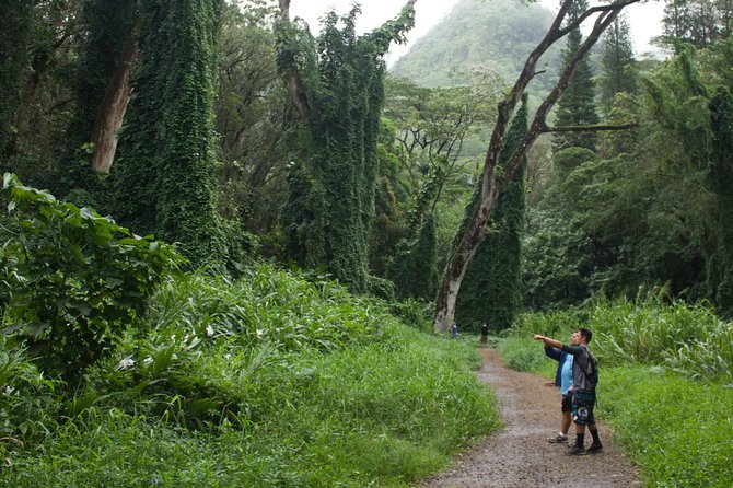 Tropical Adventure Package - Booking Confirmation