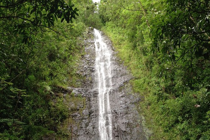 Tropical Adventure Package - Tour Ratings