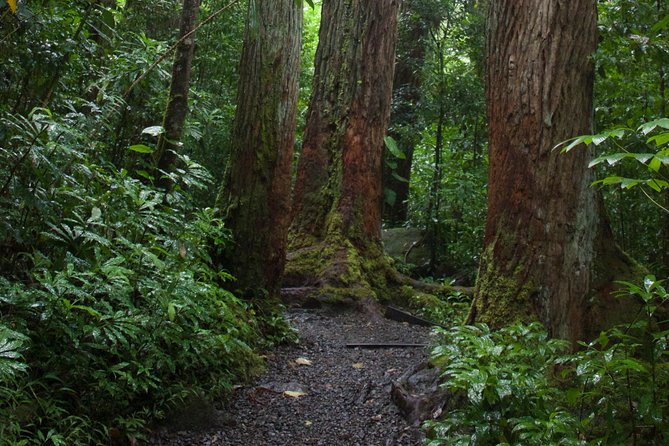 Tropical Adventure Package - Preparing for the Adventure