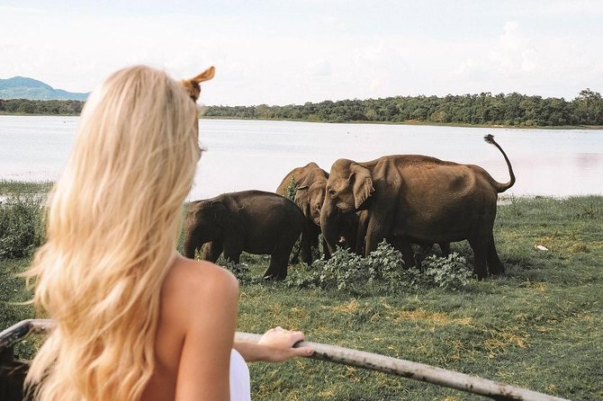 Tropical Ceylon | 8 Days - Pricing and Booking