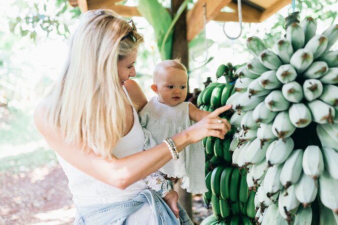 Tropical Fruit World Farm Full Tour - Meeting Point and Logistics
