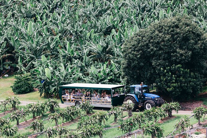 Tropical Fruit World Farm Full Tour - Accessibility and Time Zone