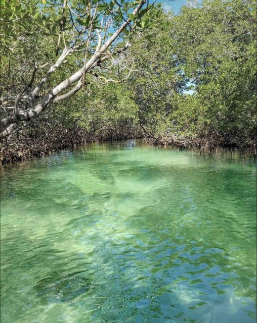 Tropical Hideaway: Catamaran Escape to Cayo Arenas - Key Points