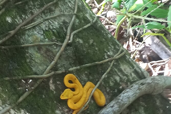 Tropical Hike in the Gandoca-Manzanillo Wild Life Refuge - Key Points