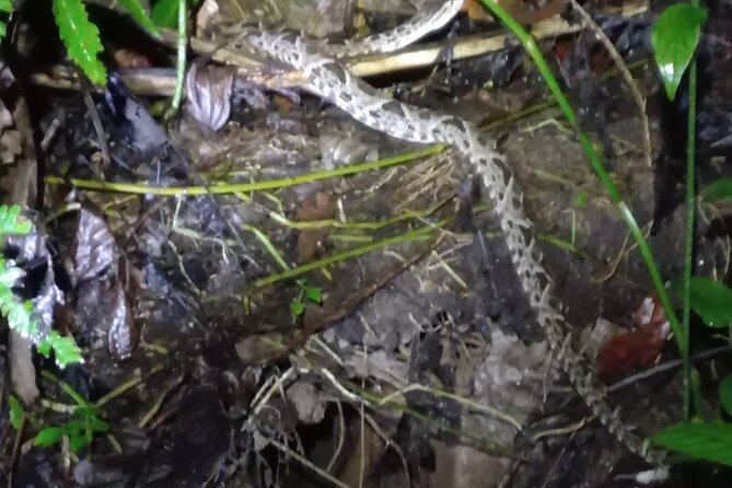 Tropical Hike in the Gandoca-Manzanillo Wild Life Refuge - Diverse Wildlife and Ecosystems