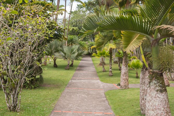 Tropical Island Private Tour of Martinique - Exploring Martiniques Tropical Landscape