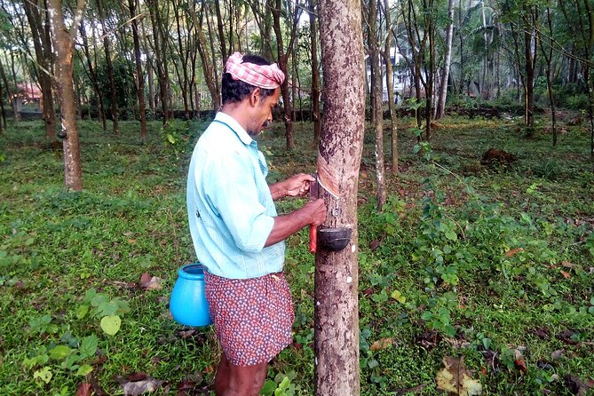 Tropical Kerala in South India Abounds Nature, Culture & History - Personalized Tour Amenities