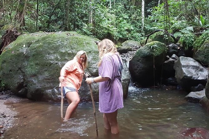 Tropical Rain Forest Explorer In St. Kitts - Discovering the Lush Rainforest