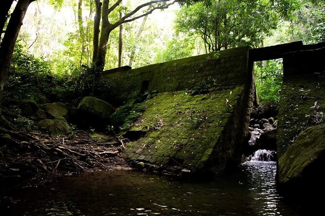 Tropical Rain Forest Explorer In St. Kitts - Booking and Confirmation Details