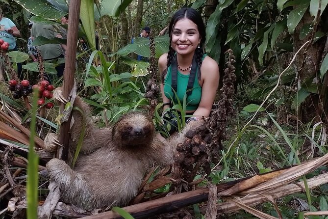 Tropical Rainforest, Hanging Bridges And Jungle Sloths Sanctuary - Inclusions and Meal Details