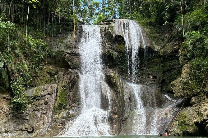 Tropical Rainforest Luxury Experiences - Key Points