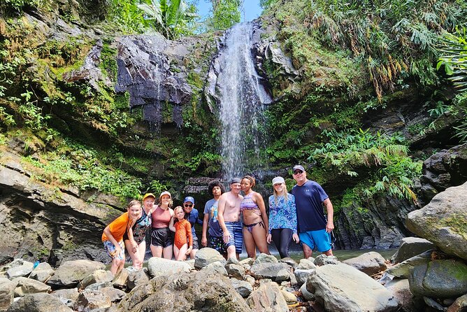 Tropical Rainforest Waterfalls & Panoramic Views Experience - Exploring the Rainforest Trails