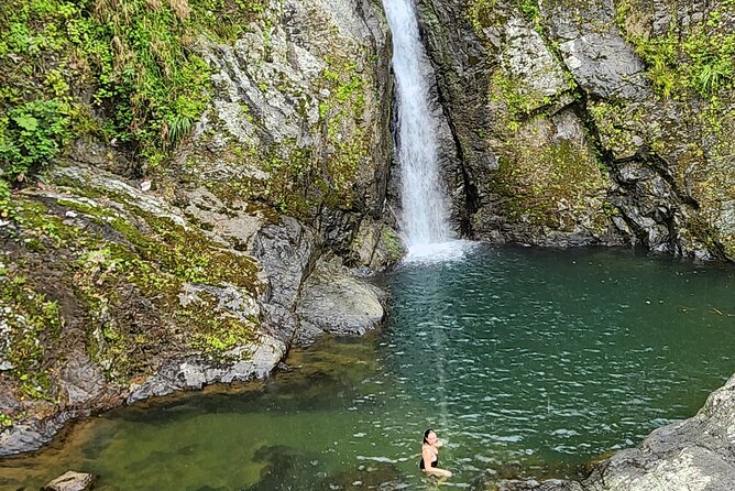 Tropical Rainforest Waterfalls & Panoramic Views Experience - Booking and Cancellation Policies