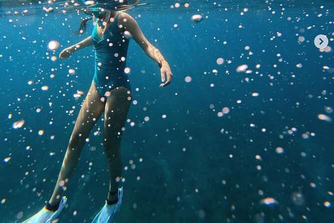 Tropical Reef & Wildlife Boat Snorkel Adventure - Included in the Experience