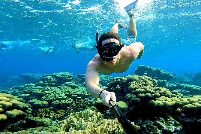 Tropical Sailing Experience with BBQ Lunch or BBQ Dinner in Aruba - Key Points