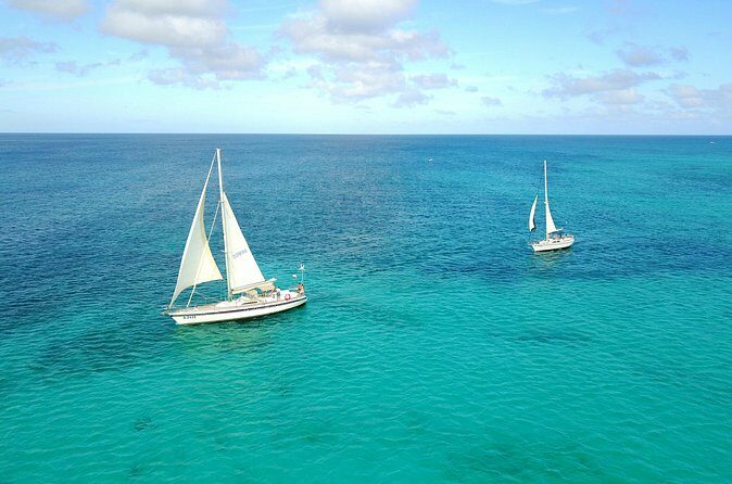 Tropical Sailing Experience with BBQ Lunch or BBQ Dinner in Aruba - Who Will Love This Tour?