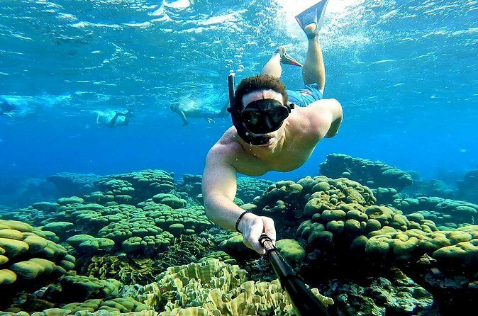 Tropical Sailing Experience with BBQ Lunch or BBQ Dinner in Aruba - The Sum Up