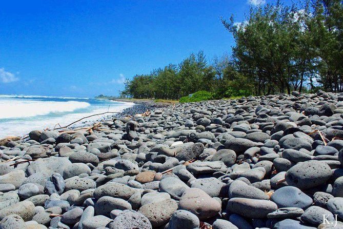 Tropical South West of Mauritius: Full-Day All Inclusive Tour (Visit to 3 Parks) - Additional Details
